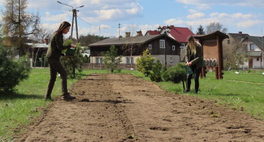 Nadleśnictwo Osie świętuje Dzień Ziemi. Przy okazji pomaga pszczołom