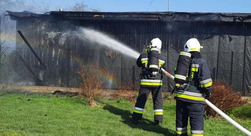 Pożar budynku gospodarczego w Dragaczu. Ucierpiał 12-letni owczarek niemiecki