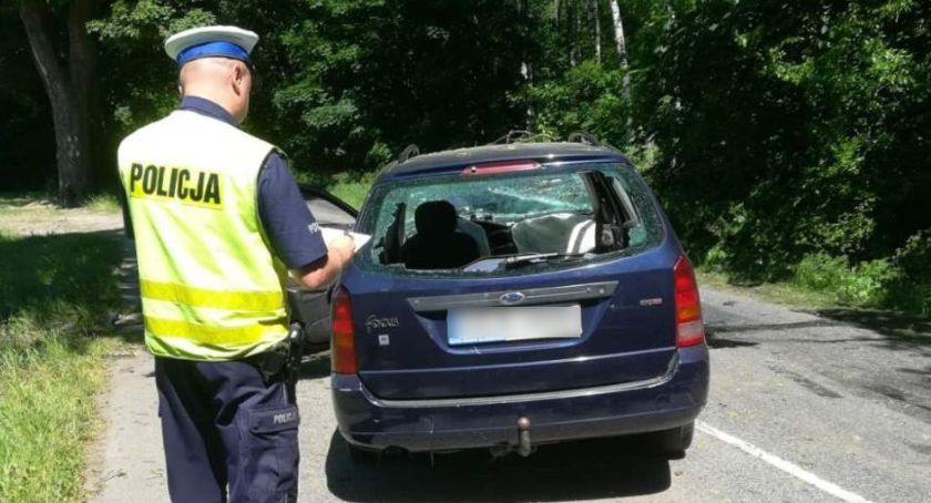 Niebezpieczny wypadek w Krąplewicach. Co było przyczyną?