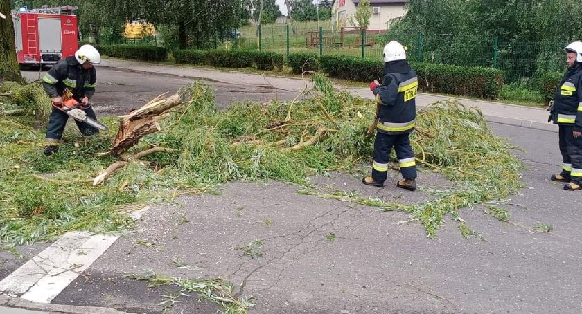 Po burzy strażacy sprzątają powiat. Wyjeżdżali usuwać połamane drzewa i pompowali wodę