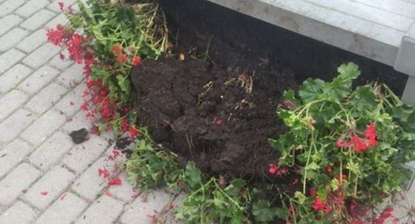 Zdewastowane donice, poprzewracane śmietniki. Czy ktoś widział sprawców?