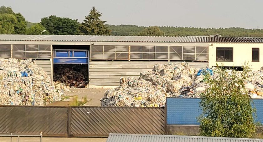 Plaga karaluchów nieopodal Świecia. To zagrożenie epidemiologicze - alarmują przedsiębiorcy