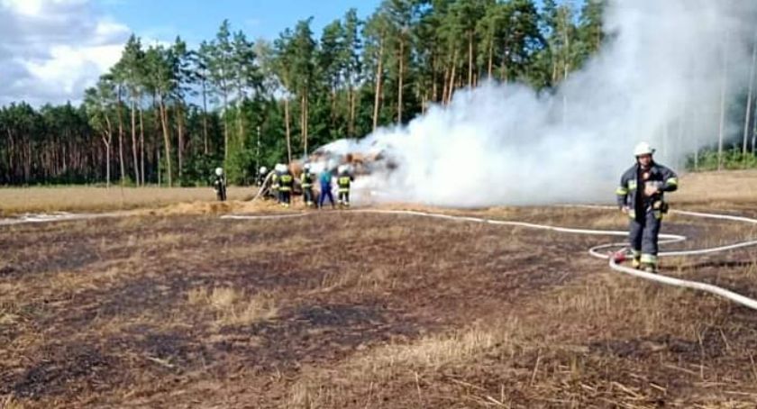 Pożar na polu w Wałkowiskach. Było zagrożenie, że ogień dotrze do pobliskiego lasu [ZDJĘCIA]
