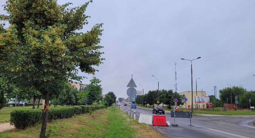 Skwer zieleni w Przechowie został naruszony, bo zabrakłoby miejsca na rondo. Co z drzewami?