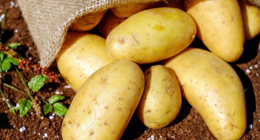 Dzień Pieczonego Ziemniaka w Bratwinie. Zabawa na zakończenie wakacji.