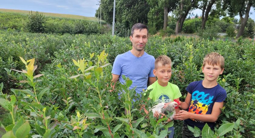 Łukasz Kawka założył plantację borówek i minikiwi. Opowiada co trzeba zrobić, żeby krzewy były zdrowe i owocowały