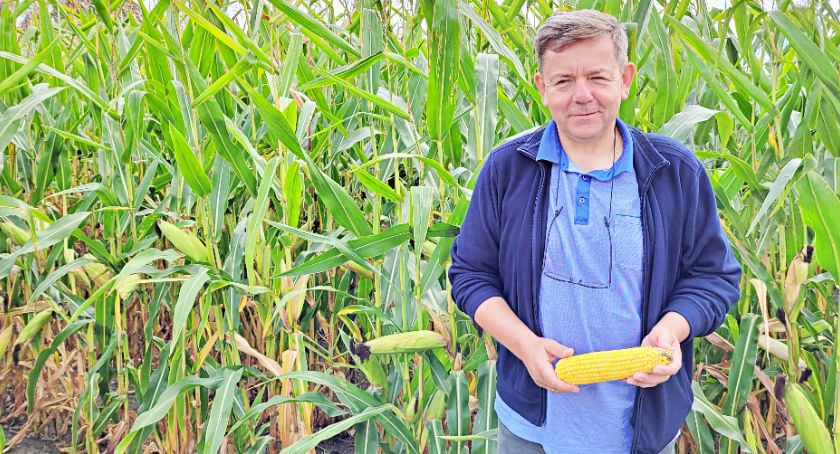 Andrzej Kurtys z Budynia mówi, że to było dobre lato dla kukurydzy. W październiku zorganizuje u siebie Dni Kukurydzy