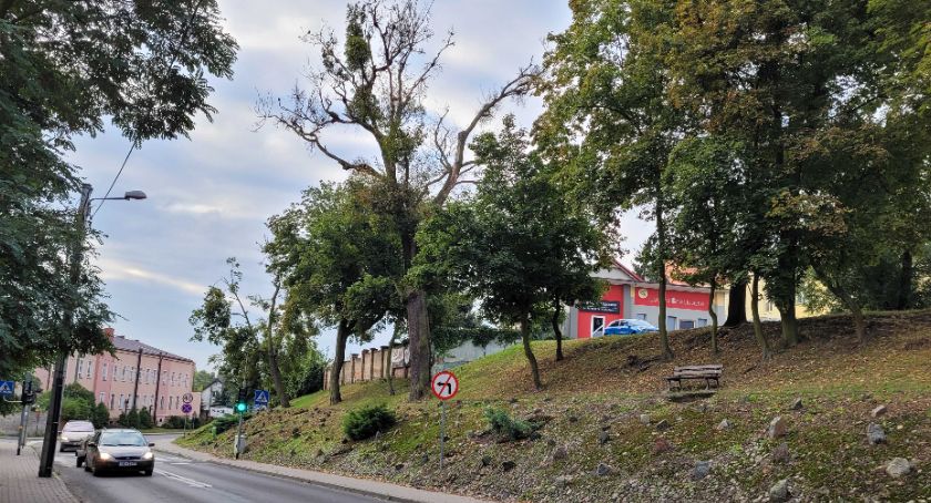 Suche drzewa przy ul. Mickiewicza zostaną wycięte. Na decyzję trzeba było poczekać kilka miesięcy
