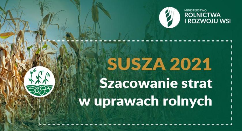 Nowe zasady w systemie zgłaszania i szacowania strat w uprawach rolnych