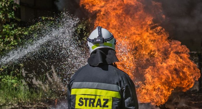 Pożar w oborze pełnej bydła. Zwierzęta udało się uratować