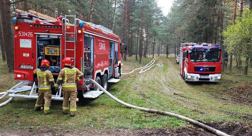 Płonie las, zaginęli harcerze! Taki scenariusz przewidywały ćwiczenia w Nadleśnictwie Dąbrowa [ZDJĘCIA]