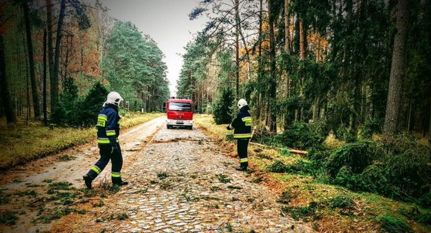 Podsumowanie akcji strażaków po silnych wiatrach w powiecie świeckim. Kosztowne będą naprawy dachów