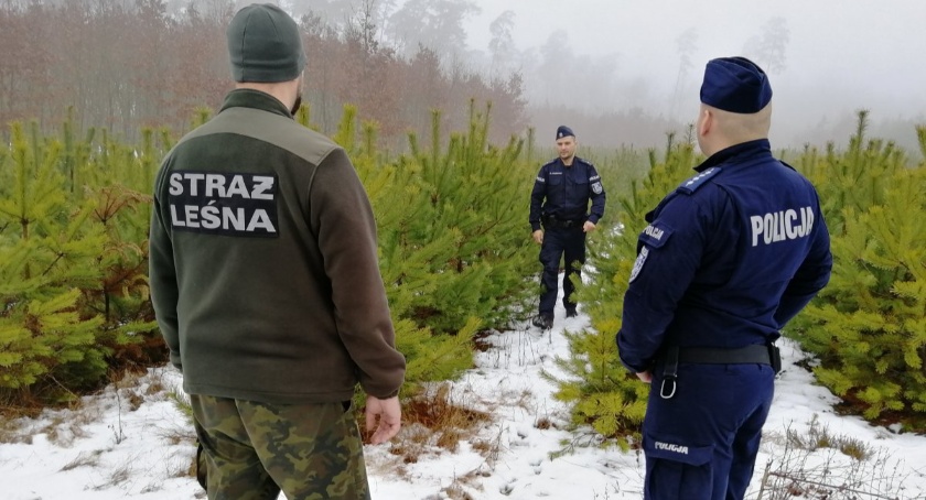 Fotopułapki, lornetki, termowizory. Służby z powiatu świeckiego mają choinki pod kontrolą