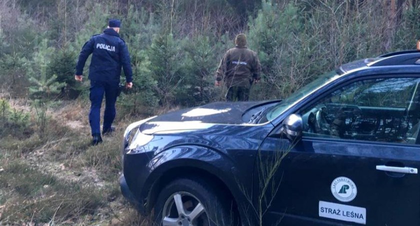 Lasy w gminie Pruszcz pod kontrolą służb. Co sprawdzają mundurowi?