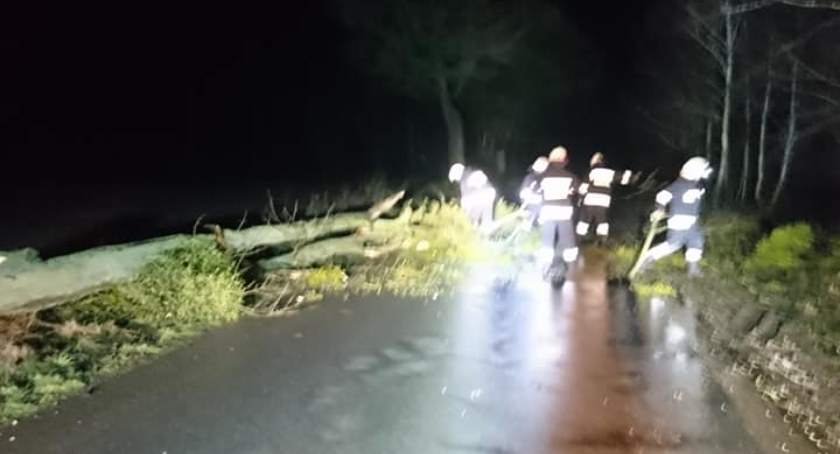 Wichura w powiecie świeckim. Ile razy wyjeżdżali strażacy?
