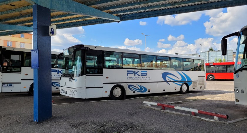 Rządowe wsparcie dla przewozów autobusowych. Te gminy z powiatu świeckiego otrzymają pieniądze