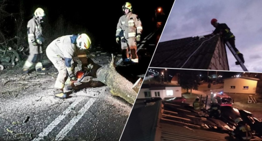 60 akcji straży pożarnej w ciągu dwóch dni. Wiatr w powiecie świeckim nie tylko łamał drzewa [ZDJĘCIA]