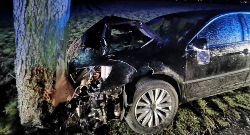 Osobówka uderzyła w drzewo. Na miejscu była karetka, straż pożarna i policja