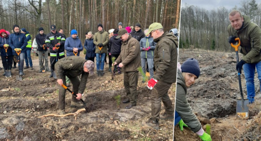Święto lasu w Nadleśnictwie Dąbrowa. Nowe drzewa sadzili urzędnicy, nauczyciele, uczniowie i lokalni działacze [ZDJĘCIA]