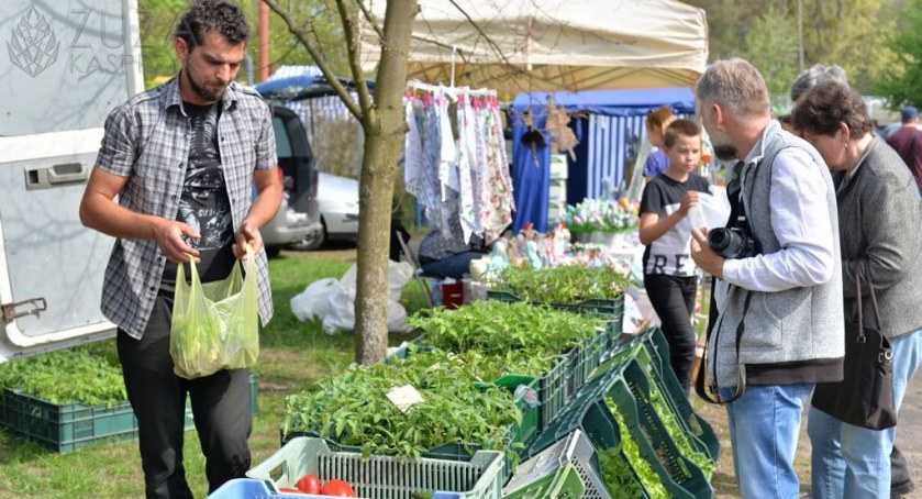Wraca Zielony Targ w Tleniu. Na skwerze znowu pojawią się stoiska lokalnych producentów i rękodzielników