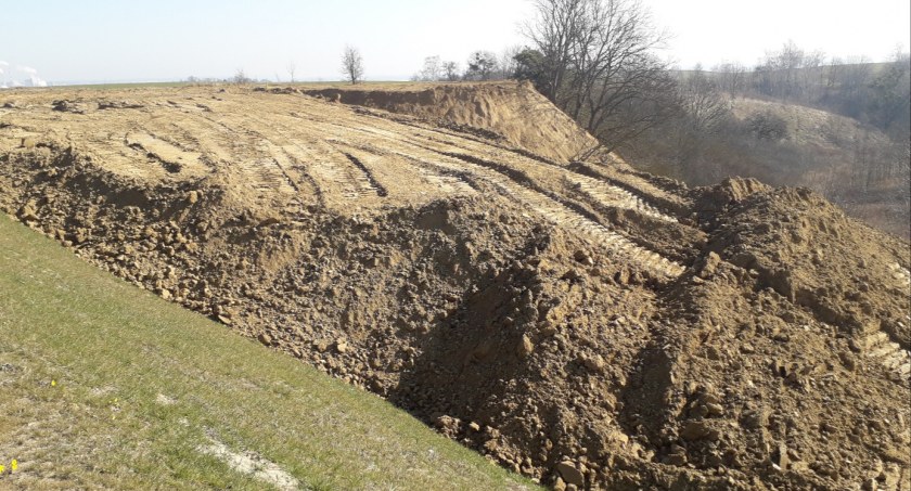 Czy teren chroniony w Grucznie jest niszczony podczas budowy drogi S5? Odpowiada dyrektor parku