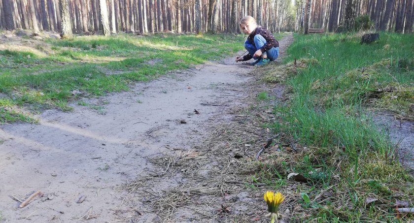 Majówka w lesie. Przyrodę będzie można smakować wszystkimi zmysłami 