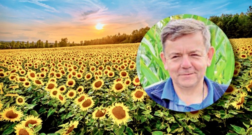  Andrzej Kurtys z Budynia twierdzi, że uprawa słonecznika ma przyszłość. Jak wojna w Ukrainie wpłynie na ceny oleju?