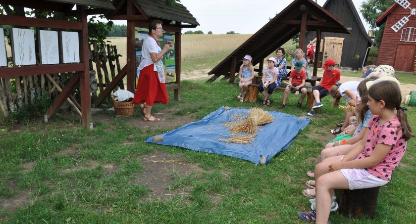 Od ziarna do chleba. Wioska Chlebowa w Janiej Górze to strzał w dziesiątkę