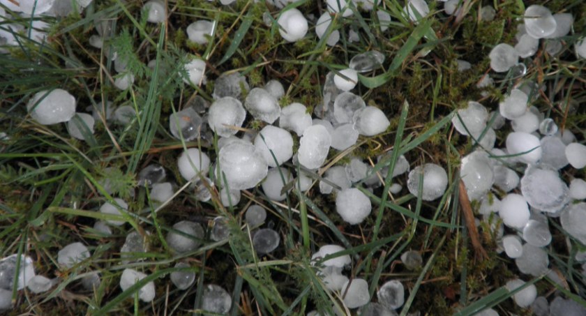 Informacja dla rolników w związku z gradobiciem na terenie gminy Bukowiec