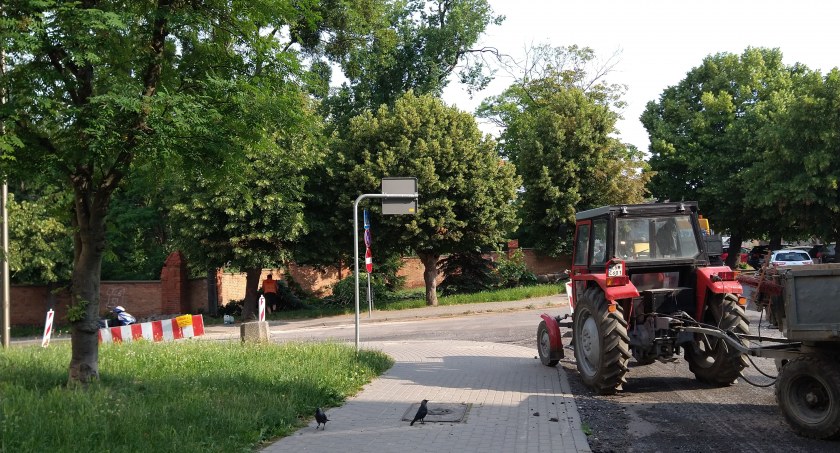 Dlaczego wycięto kolejne drzewa w Świeciu? - pytają zaniepokojeni mieszkańcy