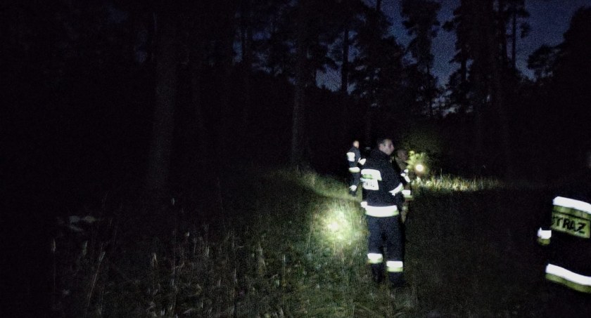 Nocne poszukiwania mężczyzny. Na miejscu działało wielu strażaków, WOPR i policja