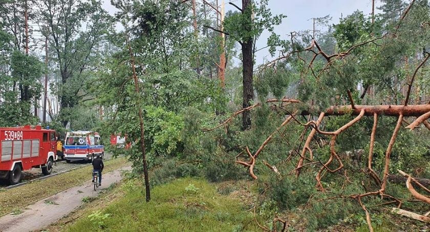 Burza przeszła przez gminę Warlubie. W Lipinkach drzewo przewróciło się na budynek mieszkalny