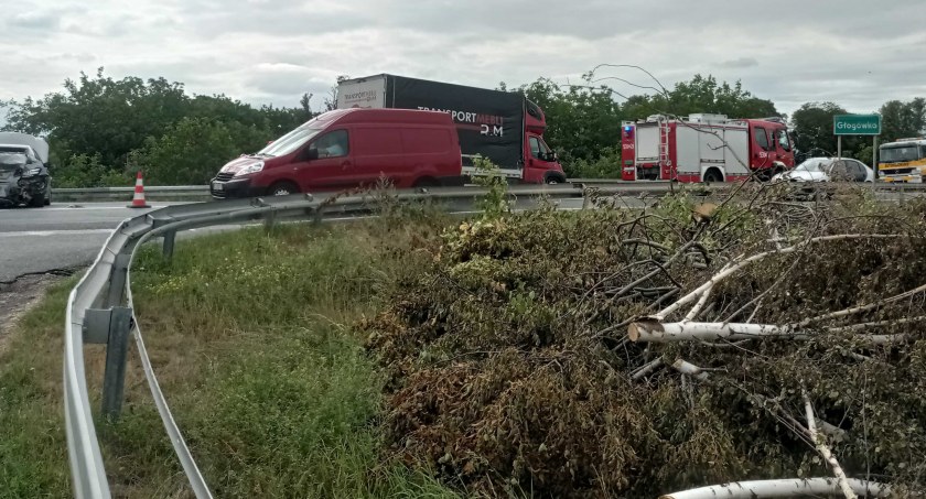 Chwasty na wylocie z Głogówka Królewskiego usunięte po naszej interwencji
