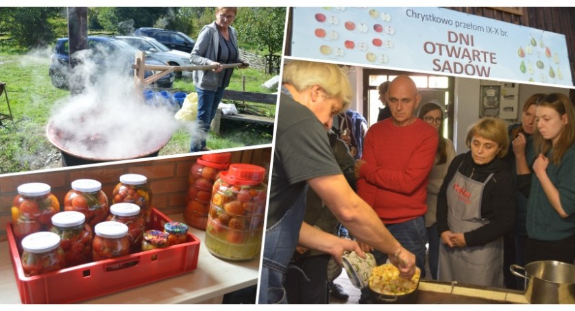 Dni Otwarte Sadów w Chrystkowie. Wszystko o sadach, owocach i ich przetwórstwe. Potrwają do niedzieli, warto zobaczyć i... posmakować [ZDJĘCIA]