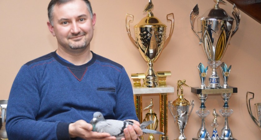 Marcin Szafran z pasją i wielką wiedzą hoduje gołębie pocztowe. Wyniki w lotach pokazują, że ma do tego wyśmienitą rękę