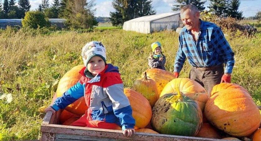 Andrzej Bardzel z Bratwina uprawia dynie ekologicznie. Kto je kupuje?