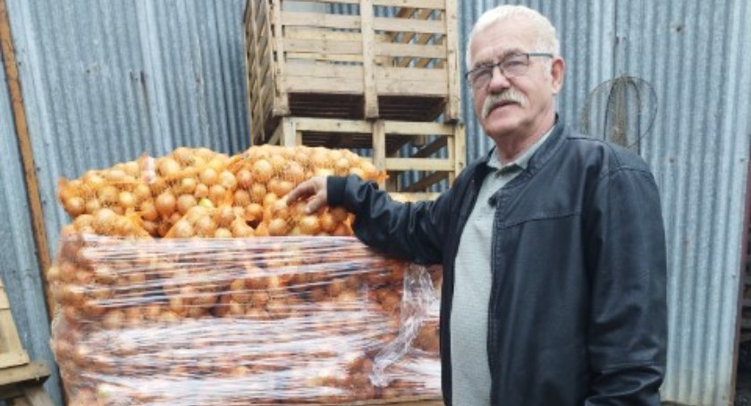 Tegoroczny sezon był łaskawy dla cebuli - mówi największy w okolicy plantator cebuli z Głogówka Królewskiego
