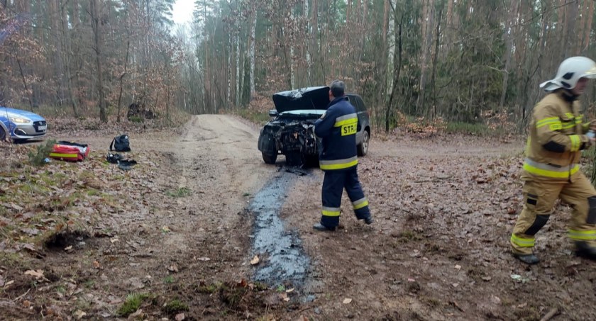 Policyjny pościg w powiecie świeckim. Auto uderzyło w drzewo [ZDJĘCIA]