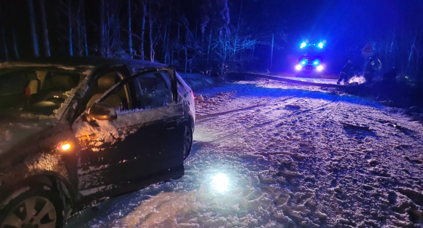 Samochód osobowy najechał na powalone drzewo. Strażacy usuwali skutki śnieżycy