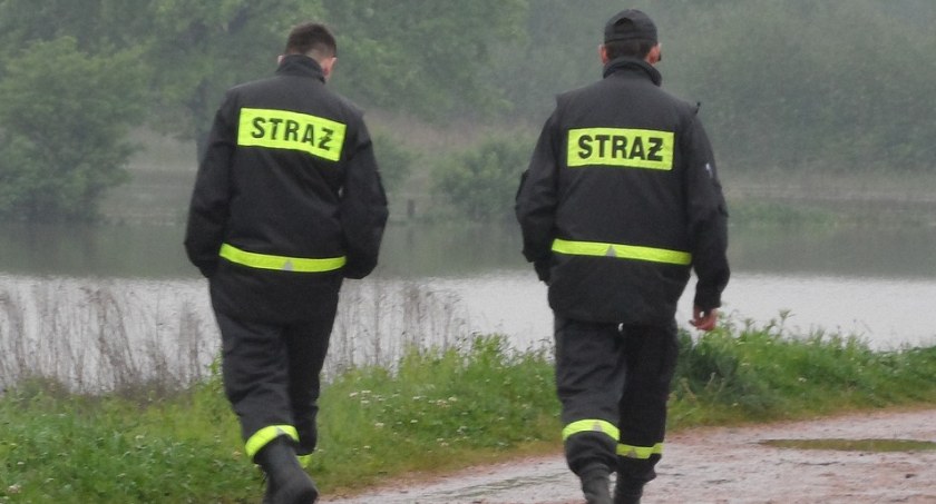 Pod psem załamał się lód. Z pomocą ruszyli strażacy