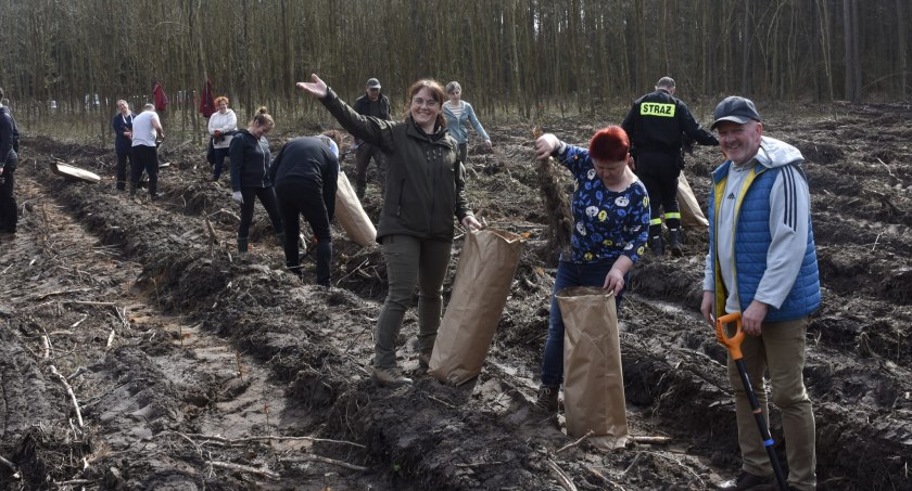 Las Pamięci Jana Pawła II posadzony. Samorządowcy, urzędnicy, mundurowi, nauczyciele w akcji