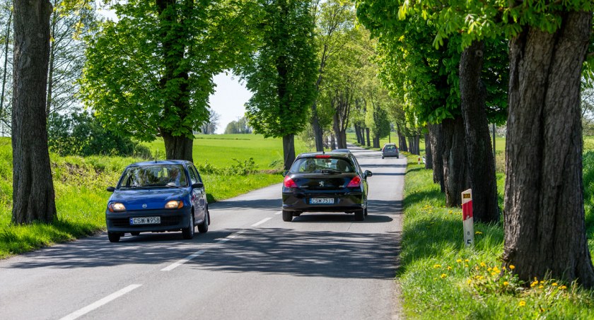 Burmistrz Świecia o budowie ścieżki z Sulnowa do Laskowic. - Projekt ścieżki doskonale wpisuje się w naszą filozofię
