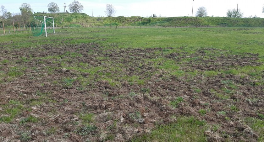 Boisko niszczą dziki. GOKSiR twierdzi, że to przez niezamykanie bramek wejściowych