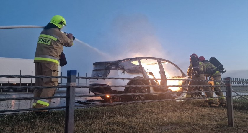 Pożar na autostradzie. Tesla stanęła w płomieniach [ZDJĘCIA]