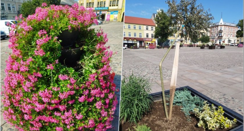 Akt wandalizmu na Dużym Rynku w Świeciu. - Kolejny przykład głupoty – twierdzi zastępca burmistrza