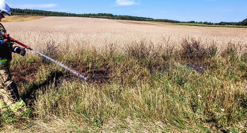 Ogień pojawił się tuż przy polu. Zagrożenie udało się w porę opanować