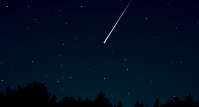 Spotkajmy się w cieniu starego dębu. Noc Spadających Gwiazd w Gołuszycach
