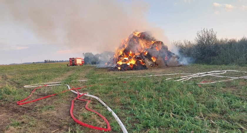 Pożar stogu pod Świekatowem. Co było przyczyną? [ZDJĘCIA]