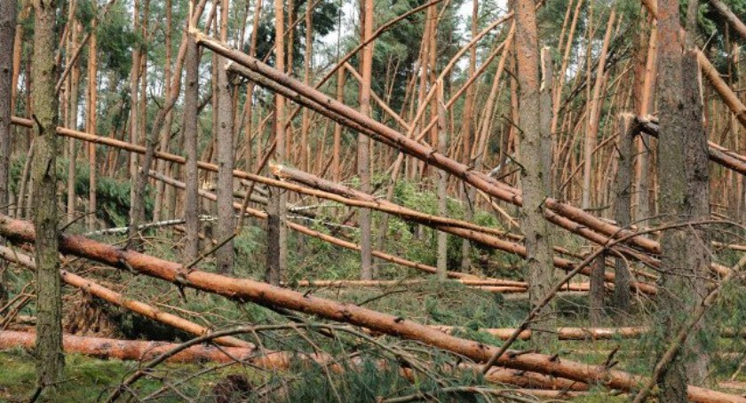10 największych TORNAD w Polsce. Na liście powiat świecki 