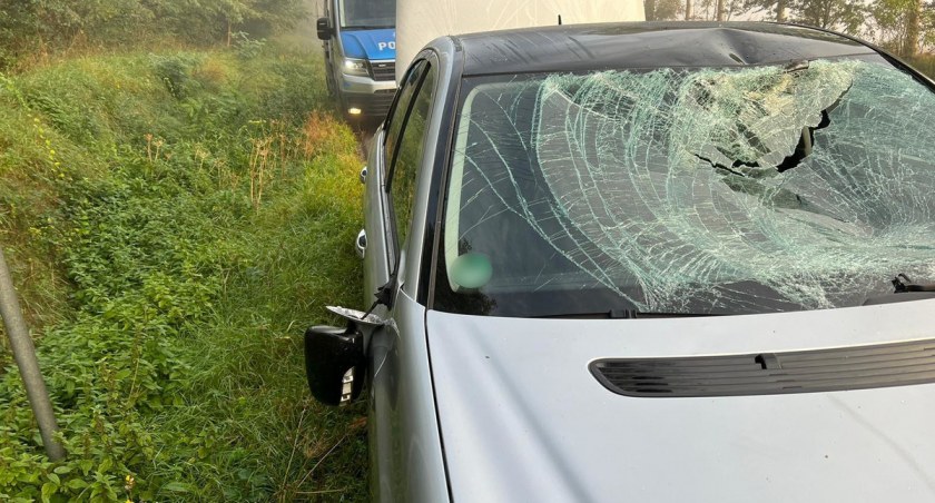 Groźne zdarzenie na drodze. Kolizja osobówki z łosiem